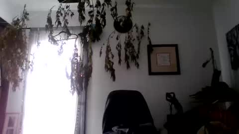 Snapshot of royboy2561 chatting on 10/10/25, 08:08 Roy Murrin online show from 10/10/25, 08:08