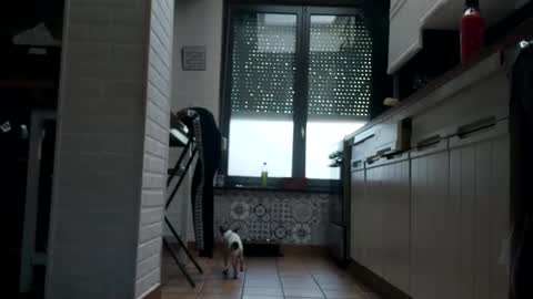 Snapshot of ruan8080 chatting on 02/01/25, 10:48 petit cochon online show from 02/01/25, 10:48