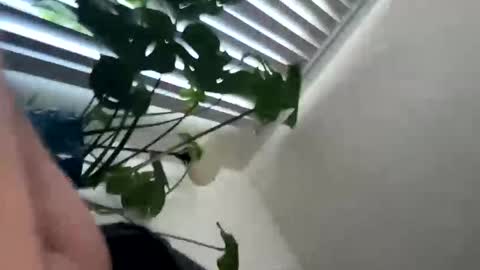 Snapshot of rula___1 chatting on 02/04/26, 10:47 rula___1 online show from 02/04/26, 10:47