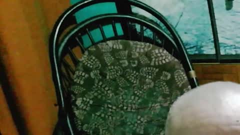 Snapshot of runnnaz chatting on 10/14/25, 01:28 runnnaz online show from 10/14/25, 01:28