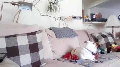 Snapshot of rustyx22 chatting on 03/08/25, 06:58 Rusty online show from 03/08/25, 06:58