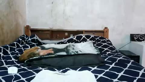 ruu_prettygal online show from 04/04/26, 08:01