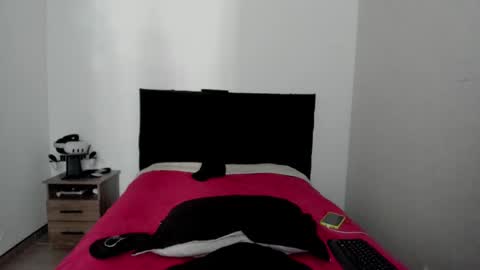 Snapshot of ryan15_ chatting on 03/01/26, 04:20 Ryan 15 online show from 03/01/26, 04:20