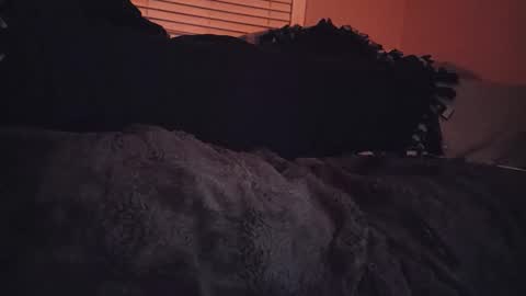 RFC666 online show from 11/06/25, 07:09