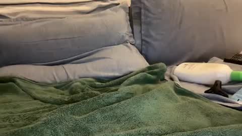 Ryan online show from 01/02/25, 05:57