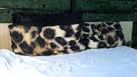 ryanstorm1 online show from 10/24/25, 10:28