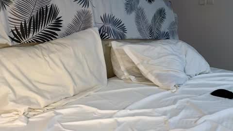 ryanstorm1 online show from 02/07/26, 04:54