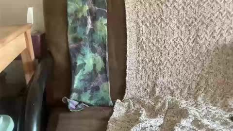 Snapshot of s3xkittenn chatting on 04/20/26, 06:42 s3xkittenn online show from 04/20/26, 06:42