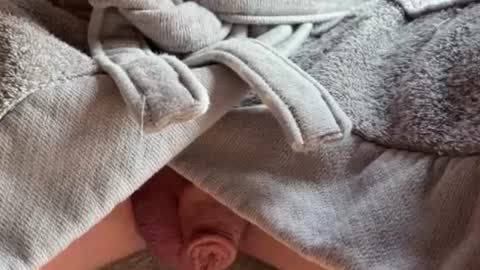 Snapshot of saconuts chatting on 02/13/26, 08:54 saconuts online show from 02/13/26, 08:54