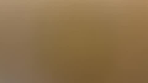 saconuts online show from 04/19/26, 08:24