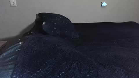 Snapshot of sademoface chatting on 02/17/25, 10:47 pluto online show from 02/17/25, 10:47