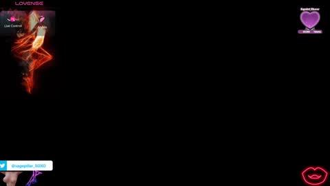 Snapshot of sage_pillar chatting on 02/02/25, 04:48 Sage Pillar online show from 02/02/25, 04:48