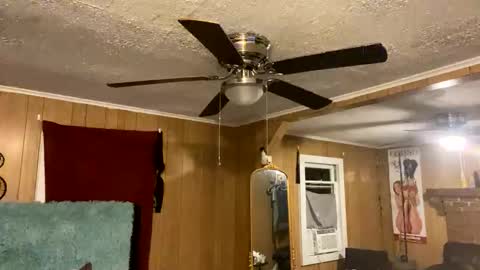 Snapshot of sailaway9694 chatting on 10/10/25, 02:10 PupTwink online show from 10/10/25, 02:10