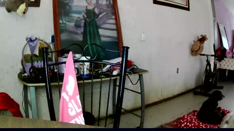 ruby  chocoholic cakeholic coffeeholic cookieholic online show from 10/10/25, 10:42