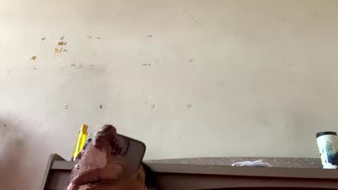 Snapshot of sainiboy9999 chatting on 10/22/25, 04:35 sainiboy9999 online show from 10/22/25, 04:35