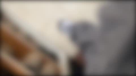 Snapshot of salgemma chatting on 03/02/26, 03:19 salgemma online show from 03/02/26, 03:19