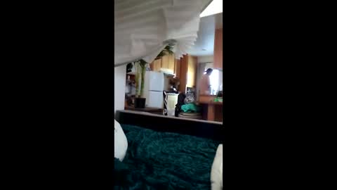 Snapshot of salis1981 chatting on 03/12/26, 06:58 salis1981 online show from 03/12/26, 06:58