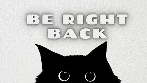 Salome online show from 02/19/26, 03:24