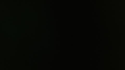 SAM AND BRENDA online show from 12/30/24, 12:20