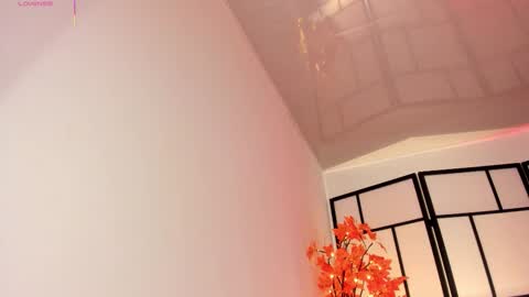 Sam online show from 01/13/26, 01:16