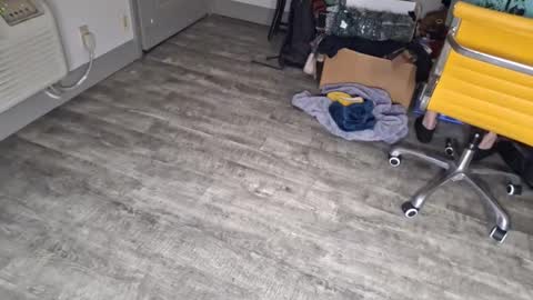 samboiamtho online show from 01/03/25, 12:43