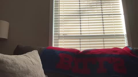 Playful Sammie online show from 01/18/26, 03:49