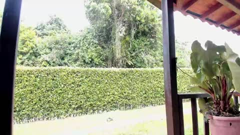 Snapshot of samuel_obrian chatting on 12/12/24, 06:42 Samuel online show from 12/12/24, 06:42