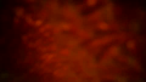 samueltal online show from 09/16/25, 12:11