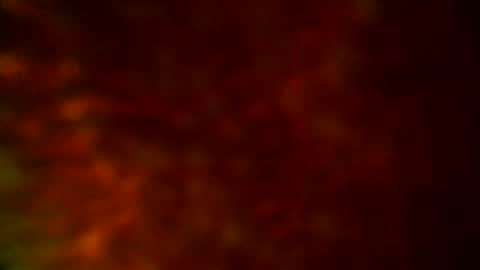 samueltal online show from 09/19/25, 09:48