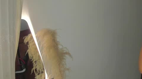 Hello I am absent due to a family calamity I will return soon-hola estoy ausente por un problema familiar volvere pronto. online show from 02/19/25, 11:25