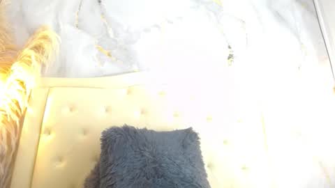 Snapshot of samy_moore14 chatting on 12/13/25, 07:53 S A M A N T H A online show from 12/13/25, 07:53