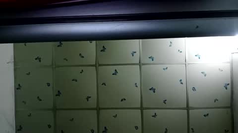 santichai561323 online show from 02/19/25, 02:01