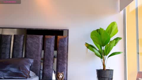 Santiago Seans online show from 02/05/26, 01:49