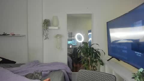 kitty online show from 11/19/25, 12:43