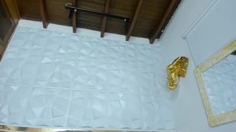 Sara Collins online show from 01/28/25, 03:25