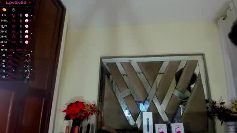 SARA 730 A 200 PM  online show from 01/29/25, 01:17