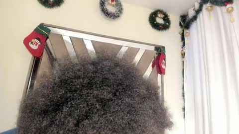 SARA 730 A 200 PM  online show from 12/20/25, 01:40