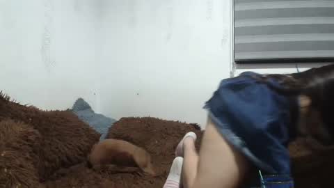 sara and thomas online show from 01/12/25, 02:24