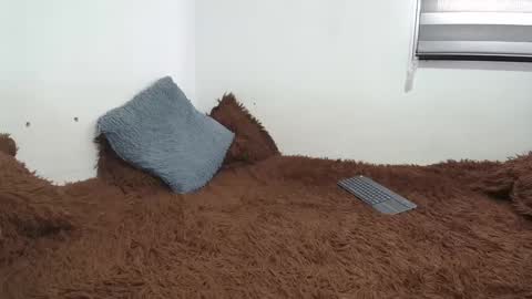 sara and thomas online show from 02/26/25, 09:27