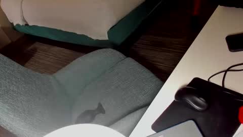 Sarah online show from 12/13/24, 07:47