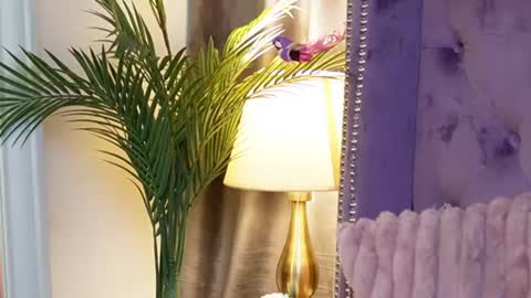  Sarai  online show from 07/14/26, 03:55
