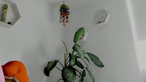 Saray  online show from 02/02/26, 09:24