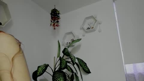 Saray  online show from 02/05/26, 11:20