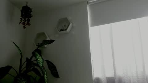 Saray  online show from 02/09/26, 09:41