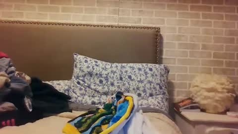 Snapshot of saretta46 chatting on 12/15/24, 12:07 Sara online show from 12/15/24, 12:07