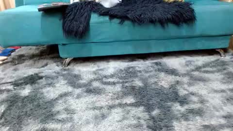 sarita_klein online show from 11/08/25, 03:34