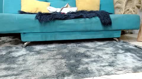 sarita_klein online show from 03/02/26, 02:24