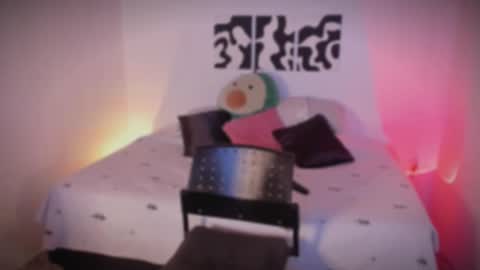 Sara online show from 11/25/25, 10:43