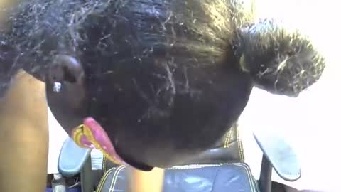 sasha_sexy769 online show from 11/15/25, 07:10