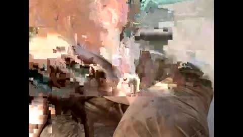 Cedar online show from 03/07/25, 11:27